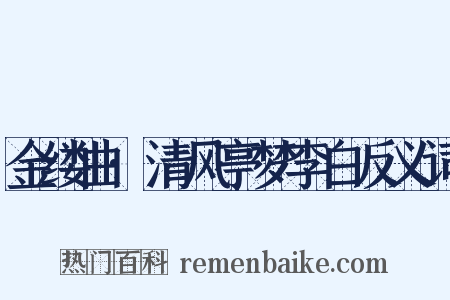 金缕曲·清风亭梦李白反义词是什么意思的图片